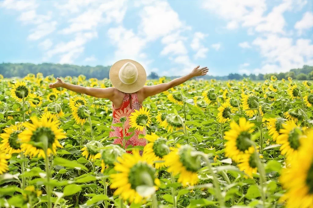 A woman standing in a sunflower field with her arms outstretched.